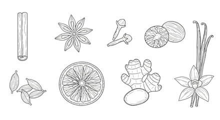 Assorted spices and ingredients Vector