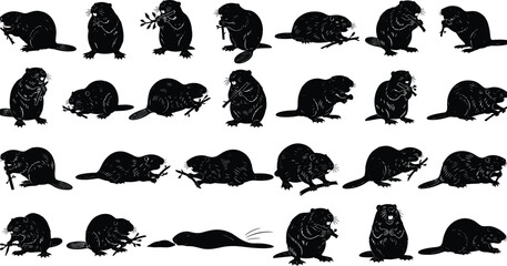 Black silhouette set of beavers in various poses, funny wild forest animals chewing branches, beaver mascot icons vector illustration isolated on white background. © MdSofequl