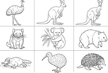 Collection of hand-drawn Australian animal illustrations featuring iconic wildlife species for educational projects, coloring pages, and nature designs © Rubya