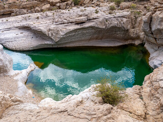 Water in the Wadi Bani Khalid oasis.