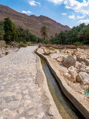 Water in the Wadi Bani Khalid oasis.