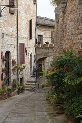 Charming narrow alleyway in the historic center of Spello, Umbria, Italy, lined with stone buildings, potted plants, and flowering balconies.