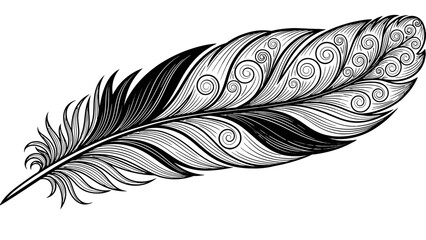 Obraz premium Black and white feather illustration with intricate swirling patterns.