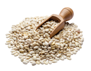 Pile of White Beans with Wooden Scoop on Black Background dried beans kidney beans