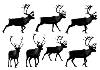 six detailed black reindeer silhouettes with massive branching antlers in dynamic poses, isolated against a transparent background, ultra photorealistic top-down view. concept for minimal christmas