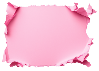 PNG A square pink torn paper backgrounds petal