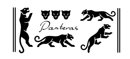 Snow leopard panther lion predator similar to QR code, barcode