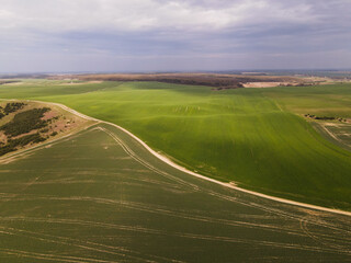 Aerial landscape of rolling green farmland with dirt road, cultivated fields and rural countryside under cloudy sky
