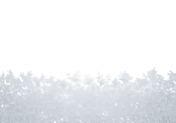 highly detailed macro photograph of intricate white dendritic rime ice texture on frosted glass, top view against a transparent copy space background, minimalist design aesthetic, concept for winter