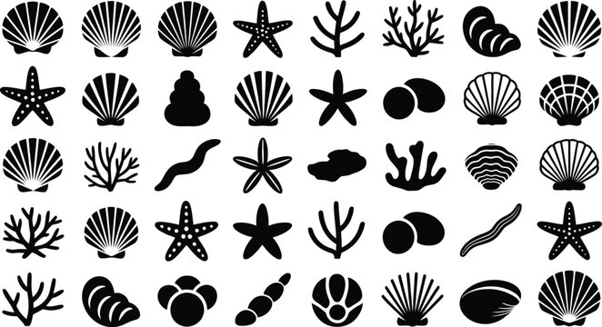 Black and white illustration of various sea shells and corals on white background