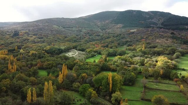 Drone video flying over valley mountain and trees in autumn golden ochre colors 