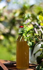 Peppermint Syrup homemade