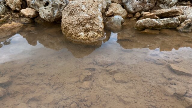 A pool of clear water with natural rocks reflecting the water's surface, showcasing the texture of the soil and the calming feel of nature.
