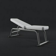 Modern adjustable lounge chair with metal frame and cushion