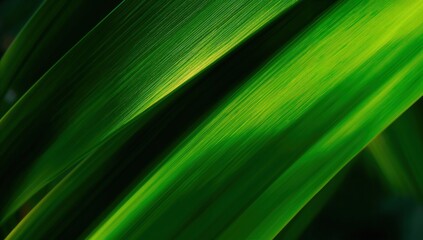 Green abstract foliage background showcasing plant textures, natural harmony, eco lifestyle inspiration, and organic design aesthetics