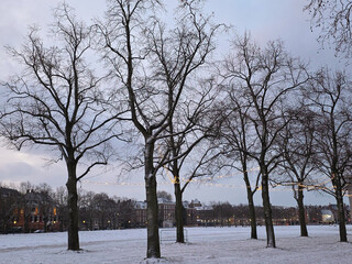 Museumplein park in Amsterdam covered in snow with bare trees, festive lights, and historic buildings in the background on a quiet winter evening