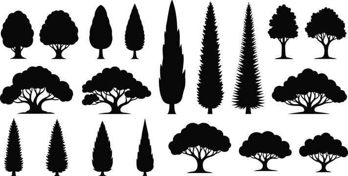 Tree silhouette collection, diverse black vector trees, coniferous and broadleaf shapes, ornamental design elements, landscape reference, flat vector illustration