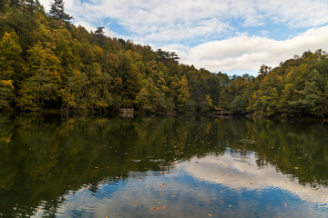 Fototapeta premium Wide view of an autumn forest lake reflecting a blue sky with fluffy white clouds
