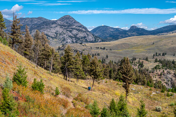 Hellroaring Trail in Yellowstone National Park being enjoyed by hikers.