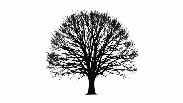 Silhouette of a large deciduous tree with bare branches against a white background.