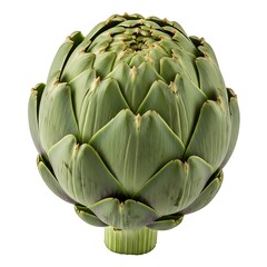 Obraz premium A fresh organic green artichoke vegetable isolated on white background, a raw healthy plant and vegetarian thistle flower perfect for cooking, nutrition, and diet
