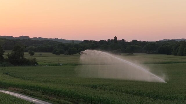 Irrigation of a field in a hot summer. Water wasting for agriculture.