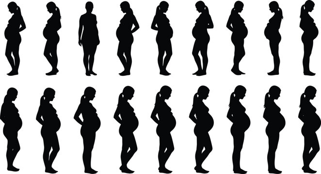 Pregnant woman silhouette set, body posture stages, maternity progression, pregnancy timeline concept, black figures, flat vector illustration