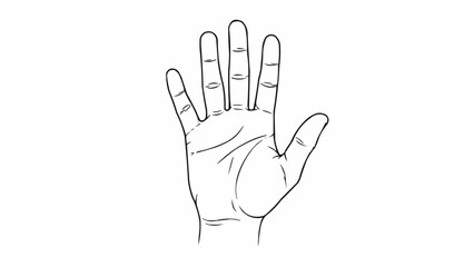 Obraz premium Detailed illustration of a human hand showing palm lines.