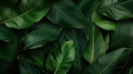 Fototapeta premium A vibrant composition of overlapping tropical leaves, showcasing shades of green and textures that evoke a refreshing feeling of nature and tranquility in a lush environment.