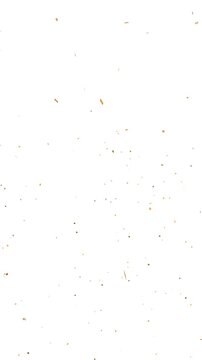 Golden confetti explosion,exploding confetti,Falling gold confetti on white background,vertical social media design element,Perfect for Reels,Stories and all social media platforms,4k loopable overlay