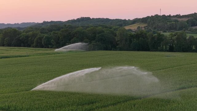 Sprinkler machine aerial video, Corn monoculture in France in a hot summer.