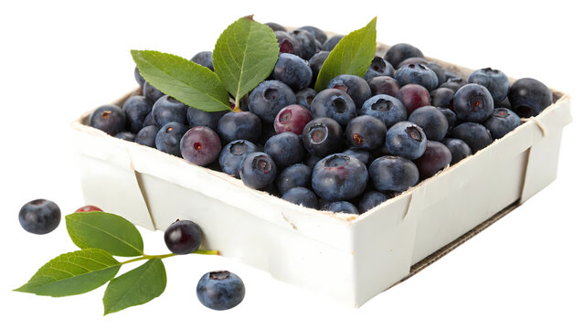 Freshly picked organic blueberries bursting with flavor, ready for a healthy snack or recipe
