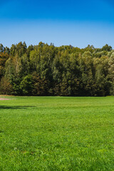 Obraz premium a landscape with leaves on trees beginning to change color at the start of autumn