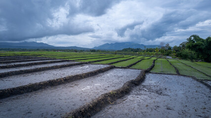 Traditional muddy paddy field terraces prepared for planting with the majestic Mount Inerie volcano in the distance under a dramatic cloudy sky.
