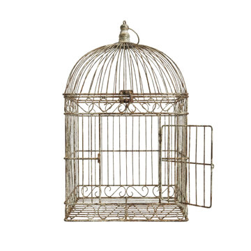 Rusty vintage birdcage with open door isolated. Antique metal shelter.
