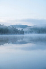 Fototapeta premium foggy lake with forest reflections