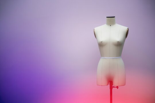Female Mannequin Torso on Red Stand with Purple Background