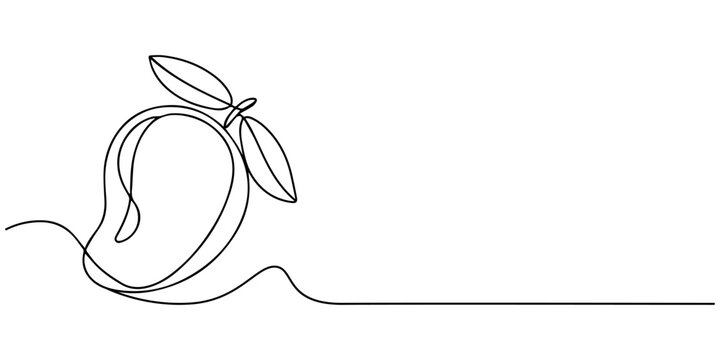 Mango fruit hand drawn single line art.one line  vector illustration  with out background, Continuous one line drawing of mango fruit with leaf. Mango fruit hand drawn single line art  Mango fruit