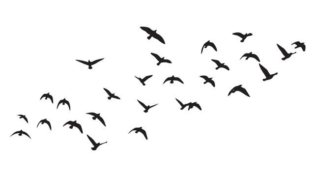 black birds flying in formation