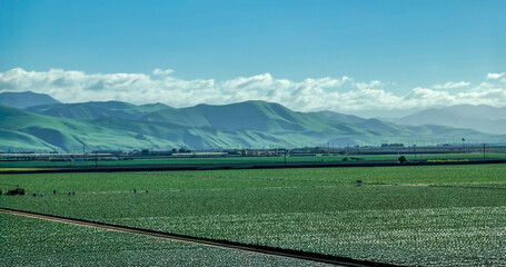 Paso Robles Central Coast California agricultural fields and farm workers with green hills of  the Santa Lucia Range and panorama of valley and agribusiness © Alexandra
