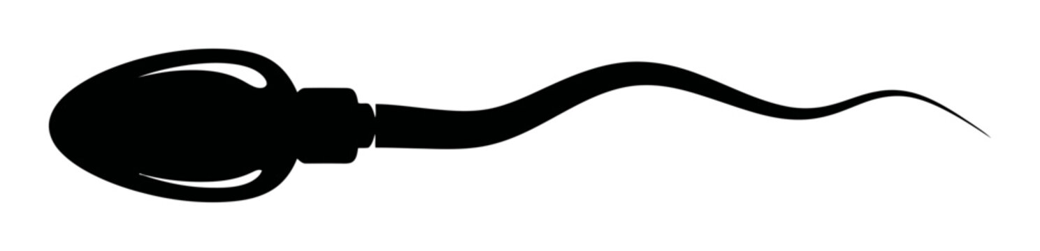 Sperm Cell Vector - Minimalist Silhouette