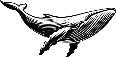 Vintage whale illustration detailed linocut style marine mammal for oceanographic or nautical themes isolated on white isolated on white background © Md Hasan