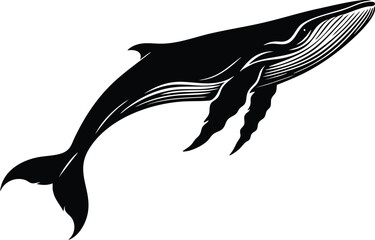 Stylized humpback whale illustration black and white vector art for marine life and ocean themes isolated on white background © Md Hasan