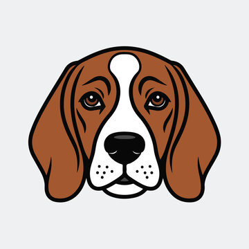 beagle dog isolated on white