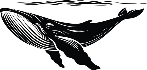 Black and white illustration of a humpback whale swimming underwater stylized linocut design for marine life concepts isolated on white background © Md Hasan