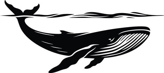 Silhouette of a humpback whale swimming underwater minimalist vector illustration for marine life and ocean themes isolated on white background © Md Hasan