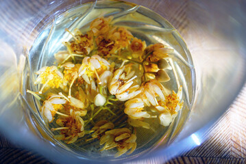 Glass with linden blossom tea, close-up. Symbolizes plant-based healing traditions, herbal infusion therapy, sustainable wellness alternatives, slow living rituals, and ancestral health knowledge.