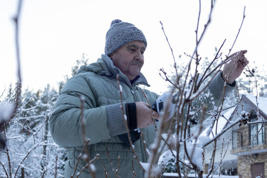 Man caring for bushes in winter landscape emphasizing activity independence and seasonal home maintenance. 
