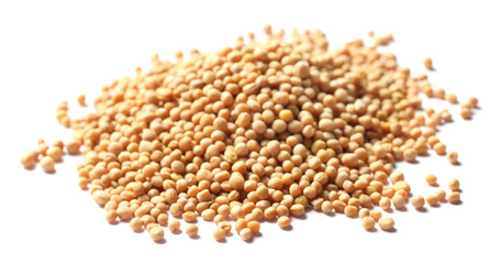 Many whole mustard seeds on white background
