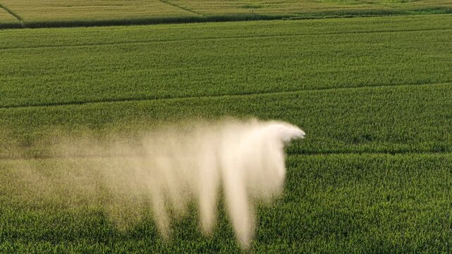 Sprinkler machine wasting water, corn monoculture in France in a hot summer.